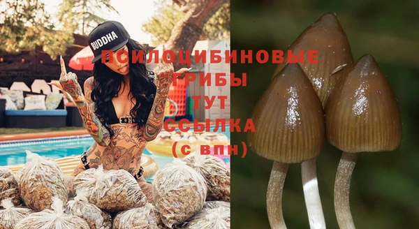 мет Арсеньев