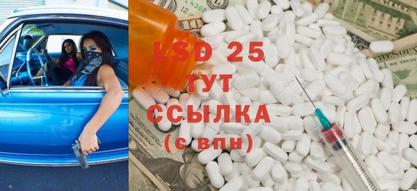 крисы Аркадак