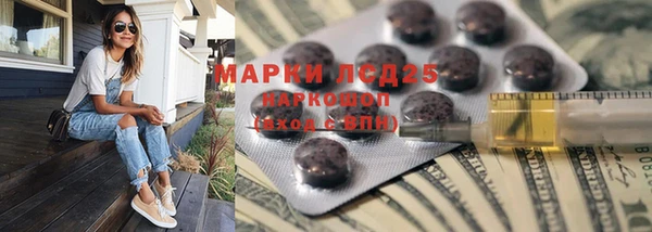 крисы Аркадак