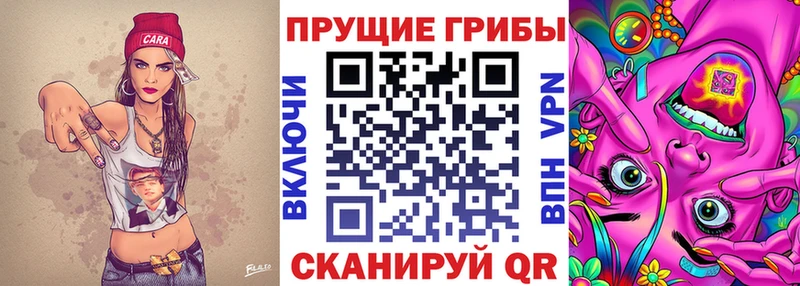 где купить наркоту  блэк спрут онион  Псилоцибиновые грибы Magic Shrooms  Асбест 